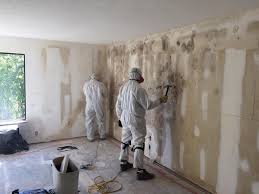 Professional Mold Remediation in Gallup, NM